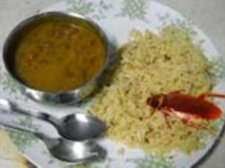 ഒരു പാറ്റയ്ക്ക് റെയില്‍വെയുടെ ഒരു ലക്ഷം രൂപ പിഴ