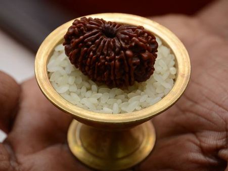 രുദ്രാക്ഷ പ്രദര്‍ശനം തലസ്ഥാനത്ത്, വില കേട്ടാല്‍ ഞെട്ടും
