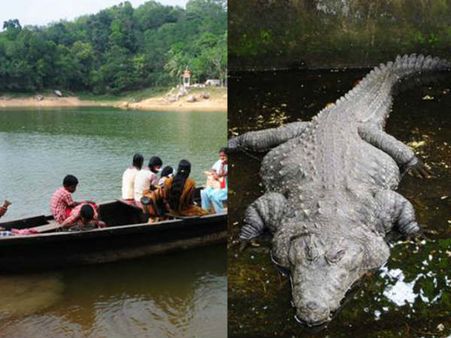 അമ്പൂരിയിലെ കുട്ടികള്‍ ഇപ്പോഴും മുതലയെ പേടിക്കണം