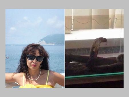 മൂര്‍ഖനൊപ്പം സെല്‍ഫി; യുവതി മരണക്കിടക്കയില്‍