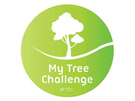 മമ്മൂട്ടി പറഞ്ഞപ്പോള്‍ മരം നട്ടതാരൊക്കെ...