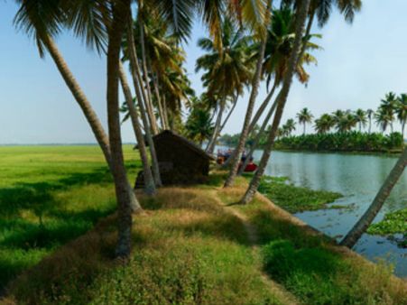 തിന്നിലാപുരത്തേക്കുള്ള യാത്ര