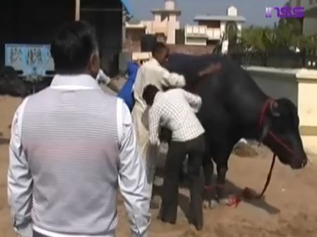 യുവരാജിന്റെ വില ഏഴ് കോടി