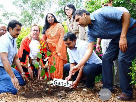 മമ്മൂട്ടി പരിസ്ഥിതി സ്നേഹി, മൈ ട്രീ ചലഞ്ച് ഓസ്ട്രേലിയ ഏറ്റെടുത്തു