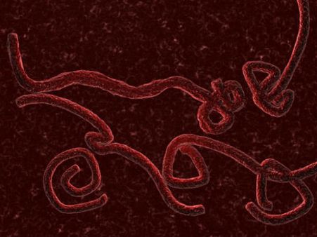 എബോള ബാധിതരുടെ എണ്ണം 5,000 അടുക്കുന്നു