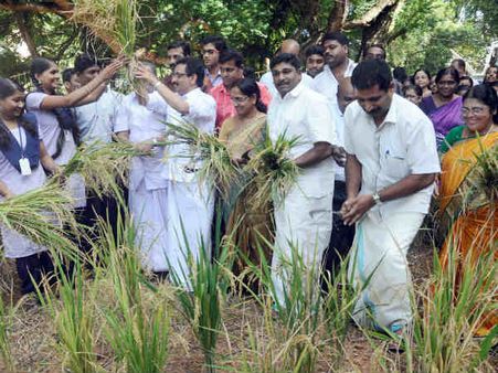 സ്കൂള്‍ മുറ്റത്ത് നൂറുമേനി വിളയിച്ച് വിദ്യാര്‍ഥികള്‍