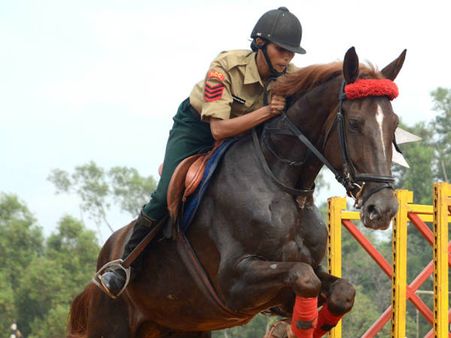 എന്‍സിസി ദിനത്തില്‍ അശ്വാരൂഢ പ്രകടനം