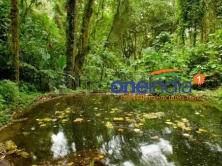 ‘ജഡ്‌ജി സാര്‍’