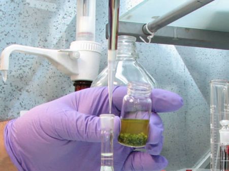 മനുഷ്യായുസ്സ് 12 വര്‍ഷം വരെ കൂട്ടാന്‍ മരുന്ന്