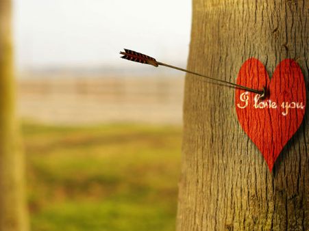 പ്രണയം പൊളിഞ്ഞു, കാമുകിയുടെ ചിത്രങ്ങള്‍ കാമുകന്‍ നെറ്റിലിട്ട് കാമുകന്‍ വിവാഹം മുടക്കി