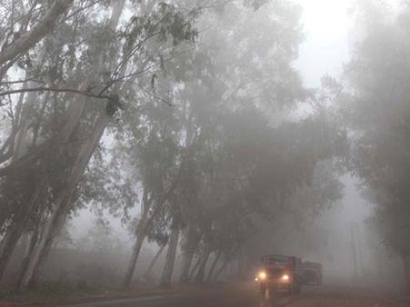 കനത്ത മഞ്ഞുവീഴ്ച തുടരുന്നു,80 ട്രെയിനുകള്‍ റദ്ദാക്കി