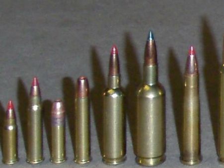 ബാഗില്‍ നിറയെ വെടിയുണ്ടകളുമായി ദില്ലിയിലേക്ക് തിരിച്ച അമേരിക്കന്‍ യുവതി അറസ്റ്റില്‍