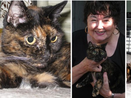 അറിഞ്ഞോ, ടിഫാനിയ്ക്ക് 27 വയസായി