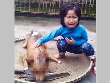 എന്റെ പട്ടിക്കുഞ്ഞിനെ ഇങ്ങനെ പൊരിച്ചുവച്ചല്ലോ...