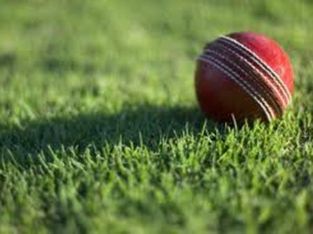 ക്രിക്കറ്റ് ബോള്‍ പട്ടി കടിച്ചു : കളിക്കാര്‍ ഉടമയെ വെട്ടിക്കൊന്നു