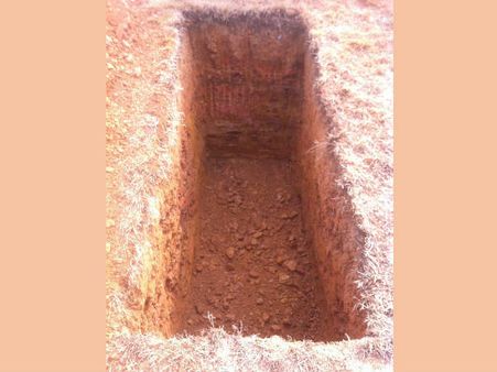 ജയിലില്‍ ശിക്ഷയ്ക്ക് പകരം സൗദിയില്‍ വിത്യസ്തമായ ഒരു കോടതി വിധി!!!