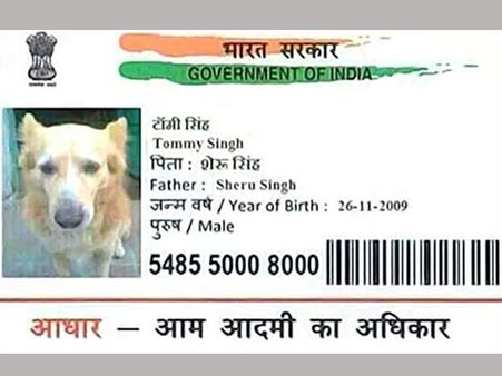 പട്ടിക്കും ആധാര്‍ കാര്‍ഡ്, ഇനി എന്തൊക്കെ കാണണം ഈ നാട്ടില്‍?