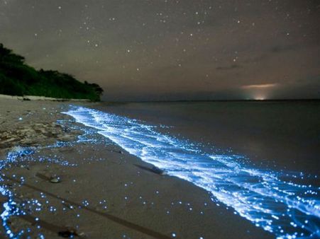 ആലപ്പുഴ ബീച്ചില്‍ തിളങ്ങുന്ന തിരമാലകള്‍, കൗതുകവും ആശങ്കയും