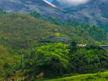 കൈയേറ്റങ്ങള്‍ക്ക് നിയമ സാധുത... ചാണ്ടി സര്‍ക്കാരിന്റെ പുതിയ വിവാദം