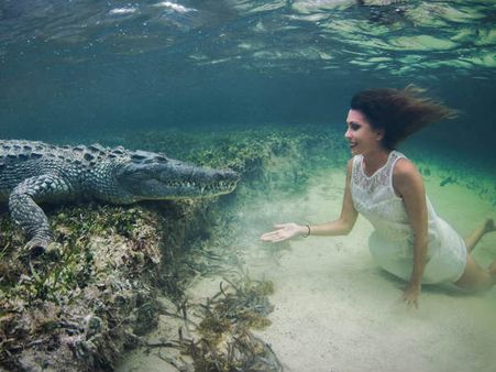 വെളളത്തിനടിയില്‍ മുതലയ്‌ക്കൊപ്പം ഒരു ഫോട്ടോ ഷൂട്ട്... ഈ സുന്ദരിയെ സമ്മതിയ്ക്കണം