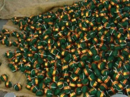 പടക്കങ്ങളും നിരോധിക്കും!!ചരിത്രത്തില്‍ ആദ്യമായി കൊച്ചു കുട്ടികള്‍ സുപ്രീംകോടതിയില്‍