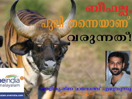 ബീഫല്ല, പുലി തന്നെയാണ് വരുന്നത്!