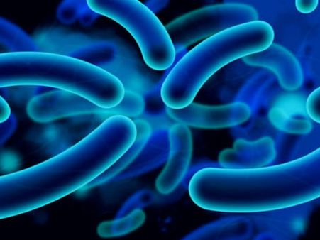 നിത്യ യൗവ്വനം നല്‍കുന്ന ബാക്ടീരിയയെ 'കണ്ടെത്തി' റഷ്യന്‍ ഗവേഷകന്‍, ഇനി എല്ലാരും ചെറുപ്പക്കാര്‍?