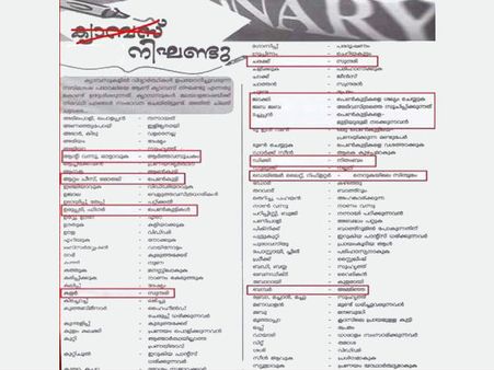 പെണ്‍കുട്ടികളെ എങ്ങനെയൊക്കെ വിളിയ്ക്കാം... ഈ കോളേജ് മാഗസിന്‍ വിവാദത്തില്‍