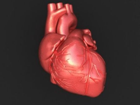 ജിവന്റെ തുടിപ്പുമായി ഇത്തവണയും ഹൃദയം പറന്നു, കൊച്ചിയില്‍ നിന്നു കോഴിക്കോട്ടേക്ക്