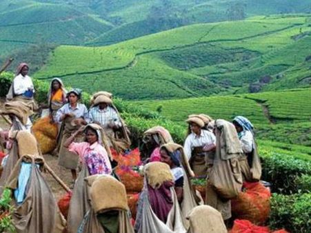 വോട്ടിന് വേണ്ടിയാണ് സര്‍ക്കാര്‍ കൂലി കൂട്ടിയ നാടകം കളിച്ചതെന്ന് തോട്ടം ഉടമകള്‍