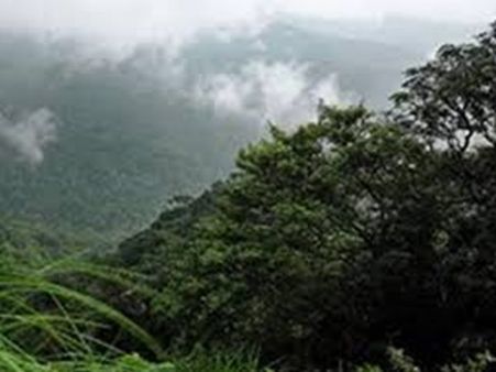 പരിസ്ഥിതി ലോലമേഖലയില്‍ വനം-വന്യ ജീവി സങ്കേതങ്ങളും പൈതൃക സ്ഥലങ്ങളും മാത്രം മതിയെന്ന് കേരളം