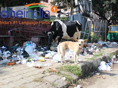 രാഹുല്‍ ഗാന്ധിക്ക് തെറ്റിയിട്ടില്ല; സ്വച്ഛ് ഭാരത് പരാജയം, ഇതാ തെളിവുകള്‍!