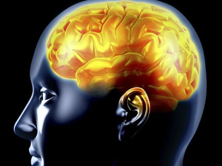 ഇങ്ങനെ ഒരു മോഷണം നിങ്ങള്‍ കേട്ടിട്ടുണ്ടോ? തലച്ചോര്‍ മോഷ്ടിച്ച് ഓണ്‍ലൈനില്‍ വിറ്റു!