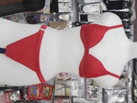 സ്ത്രീകളുടെ പാന്‍റീസുകള്‍ മാത്രം മോഷ്ടിയ്ക്കുന്ന കള്ളന്‍ പിടിയില്‍, മോഷ്ടിച്ചത് 1000ത്തോളം പാന്‍റീസ്