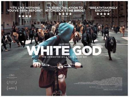 വൈറ്റ് ഗോഡ് - നായകളുടെ ദിനം