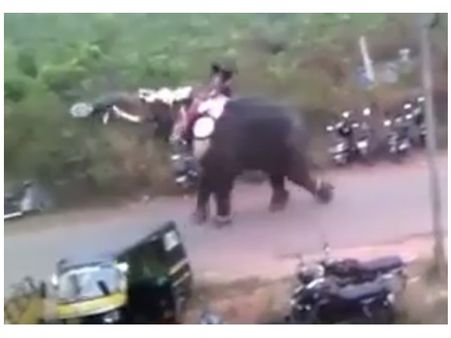 മദംപൊട്ടിയ ആന വഴിയരിക്കില്‍ നിര്‍ത്തിയിട്ട വാഹനങ്ങളെടുത്ത് അമ്മാനമാടുന്നു, ഷോക്കിങ്ങ് വീഡിയോ കാണൂ...