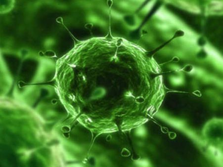 ഭീതിപരത്തി എബോള വീണ്ടും; രോഗത്തെ കുറിച്ച് അറിയേണ്ടതെല്ലാം, വില്ലനായ റെസ്‌റ്റേണ്‍ വൈറസിനെ കുറിച്ച്