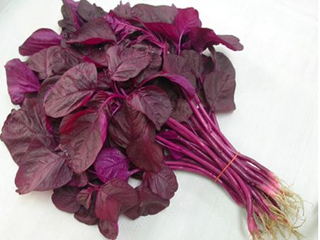 ചീര വില്‍ക്കുന്ന പഞ്ചായത്ത് പ്രസിഡണ്ട് സോഷ്യല്‍ മീഡിയയിലും ഹിറ്റ്