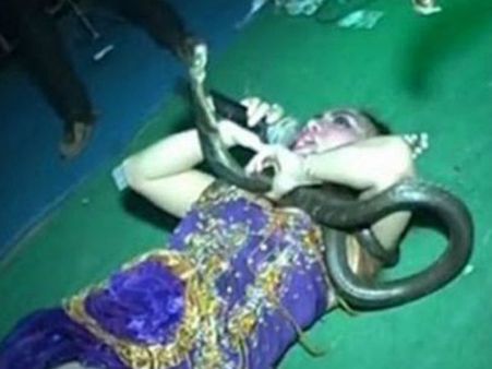 സ്റ്റേജില്‍ രാജവെന്പാലയുടെ കടിയേറ്റ ഗായികയ്ക്ക് കാണികളുടെ മുന്നില്‍ ദാരുണ അന്ത്യം, വീഡിയോ