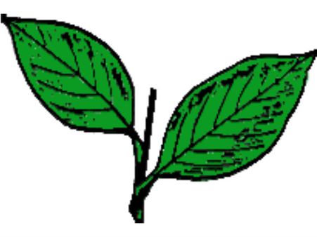 കുട്ടനാട്ടില്‍ ജോസഫ്-മാണി പോര് ; യുഡിഎഫിന് അങ്ങനെ ഒരു വിമതനും കൂടി