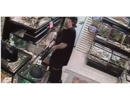 പലതും മോഷ്ടിക്കുന്നത് കേട്ടിട്ടുണ്ട്, പാമ്പിനെ മോഷ്ടിക്കുന്നവരെ കണ്ടിട്ടുണ്ടോ? വീഡിയോ കാണൂ...