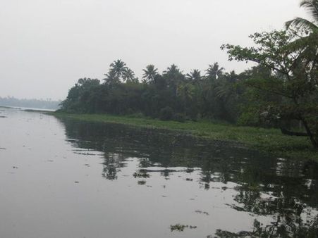 പാലം പണിയും വരെ വേമ്പനാട്ടു കായല്‍ നീന്തി കടക്കും; 14 കാരന്‍ സ്വീകരിച്ച സമരത്തിന്റെ മറ്റൊരു മുഖം