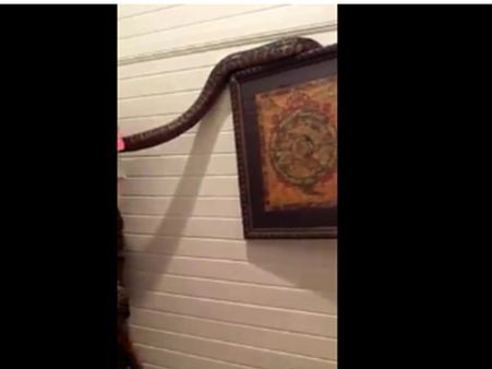 രാത്രി കിടക്കയില്‍ കൂട്ടിനുണ്ടായിരുന്നത് മലമ്പാമ്പാണെന്ന് തിരിച്ചറിഞ്ഞത് രാവിലെ, വീഡിയോ കാണൂ...