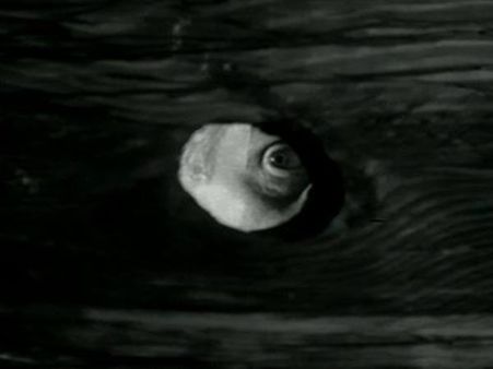 സ്ത്രീകളുടെ ടോയ്‌ലറ്റില്‍ ഒളിഞ്ഞു നോക്കിയ ഹോട്ടല്‍ ജീവനക്കാരന്‍ പിടിയില്‍