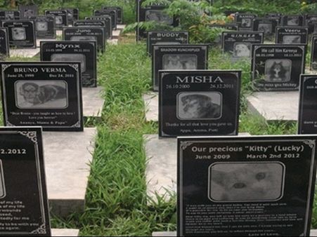 ഈ മാര്‍ബിള്‍ കല്ലറകളില്‍ അന്ത്യവിശ്രമം കൊള്ളുന്നത് മനുഷ്യരല്ല, പിന്നെ ആരായിരിക്കും??