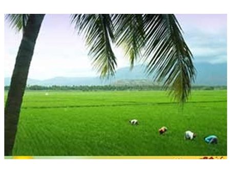 ചിങ്ങമെത്തി; മലയാളികള്‍ക്ക് പുതുവത്സരാശംസകള്‍ നേര്‍ന്ന് മോദിയും മോഹന്‍ലാലും !!