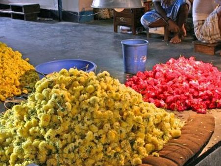 ഓണം പൊള്ളിക്കും പൂവിലകേട്ടാല്‍; ഒരു കിലോ മുല്ലപ്പൂവിന് 1600 രൂപ!