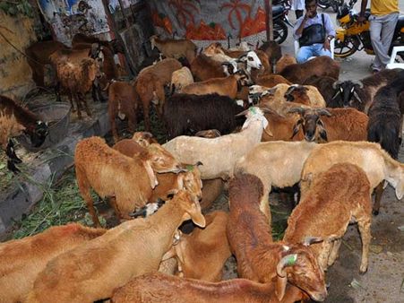 അയോധ്യ നിരോധനം നീക്കി, ബക്രീദില്‍ മൃഗബലിയ്ക്ക് വിലക്കില്ല