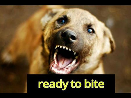 റെഡി ടു വെയ്‌റ്റോ... എന്തിനപ്പാ ഇന്തമാതിരി വെയ്റ്റിങ്ങെല്ലാം!!! ട്രോളിക്കൊല്ലുന്നേ...