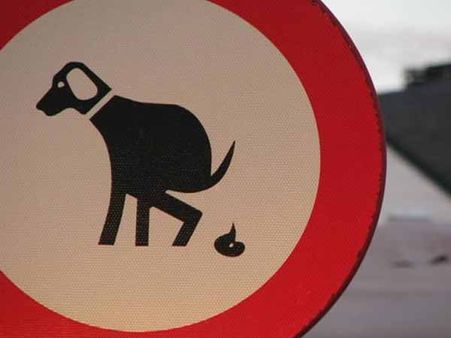 പട്ടിയെയും കൊണ്ട് റോഡില്‍ നടക്കാന്‍ ഇറങ്ങുന്നത് കൊള്ളാം, മലവിസര്‍ജനം നടത്തിയാല്‍ 500 രൂപ പിഴയടക്കണം